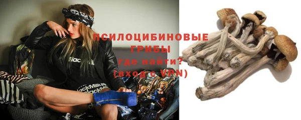 ешки Лиски