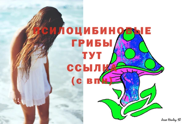 ешки Лиски